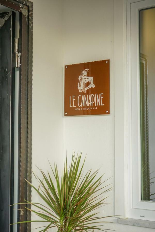 B&B Le Canapine Frattamaggiore Ngoại thất bức ảnh
